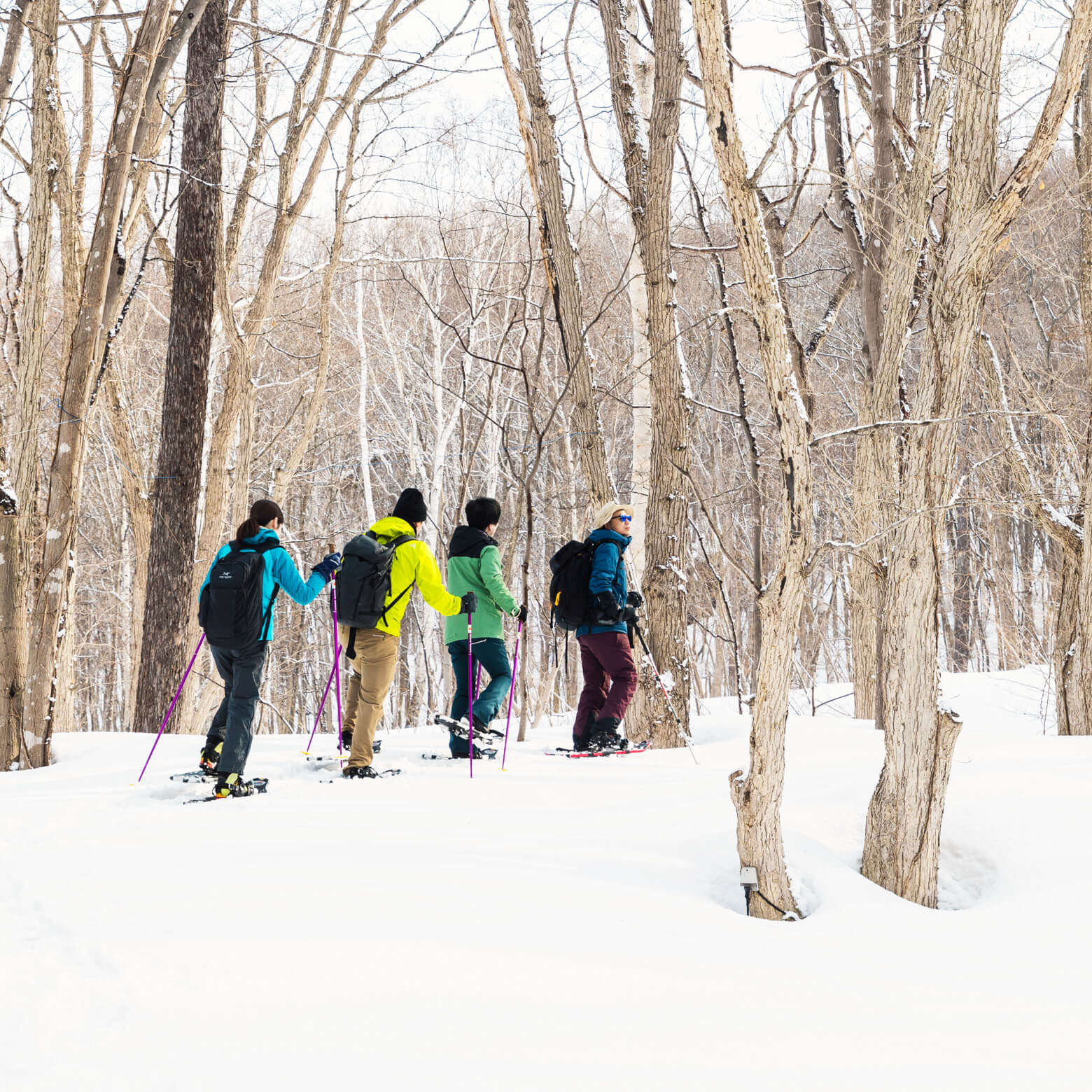 Snow Tour Guide