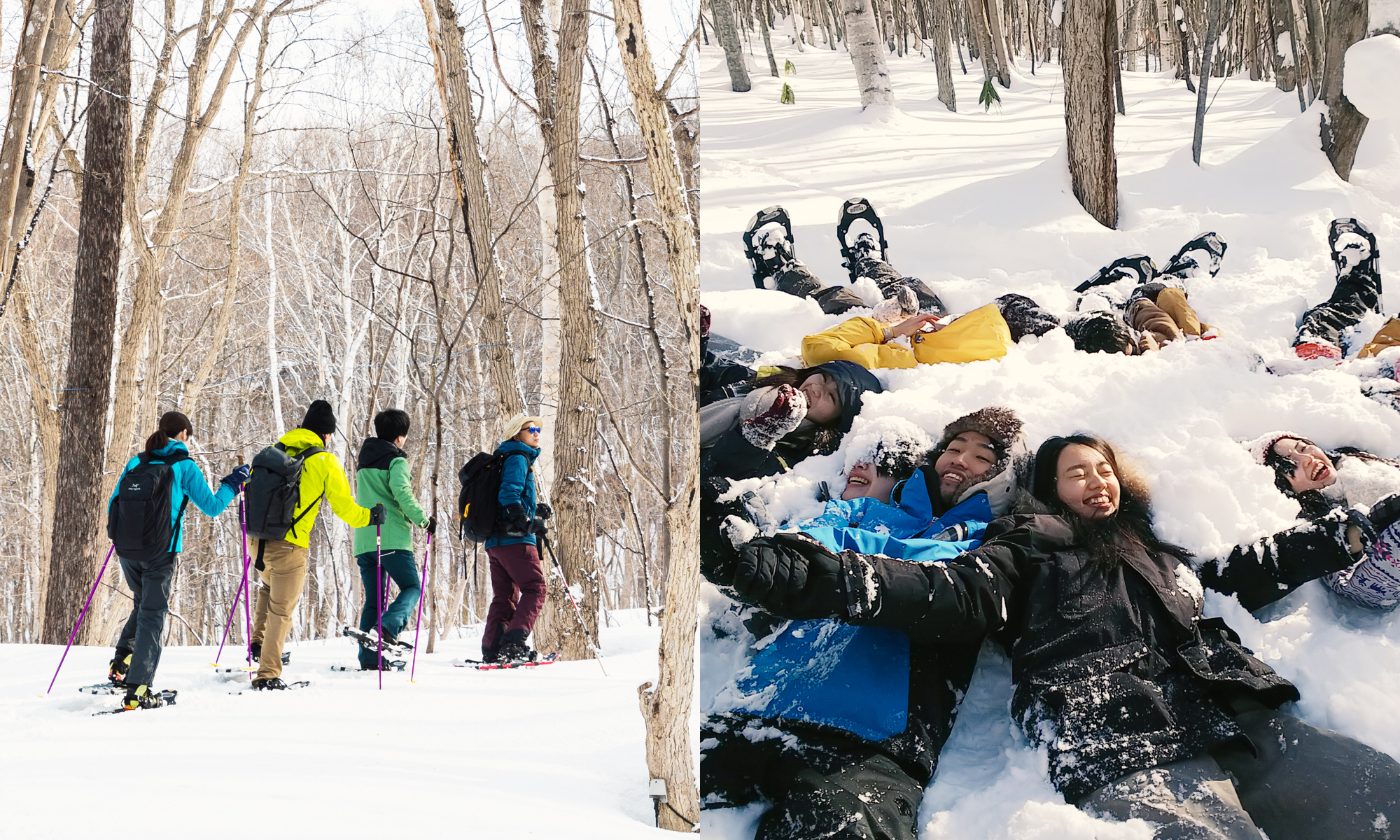 Snowshoe Tour Adventure